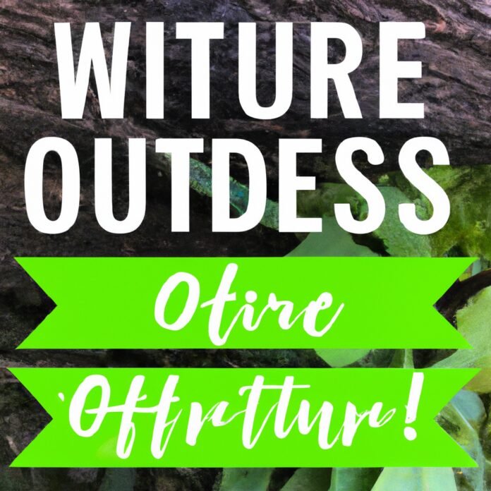 Outdoor Fitness Adventures: Embracing Nature in Your Workouts